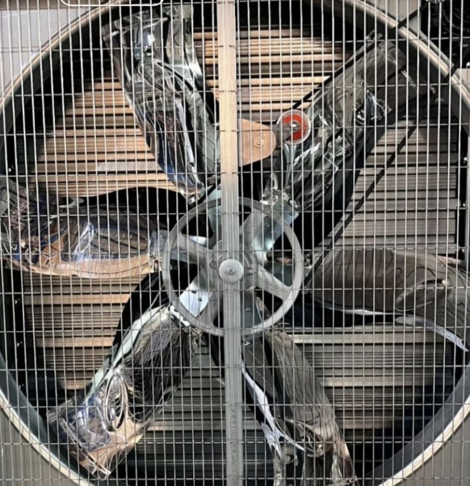 Screenshot_۲۰۲۵۱۱۲۵_۲۲۴۶۰۸_Instagram