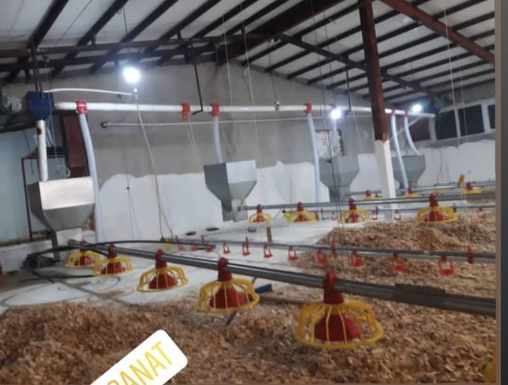 Screenshot_۲۰۲۵۱۱۲۵_۲۲۴۸۱۹_Instagram