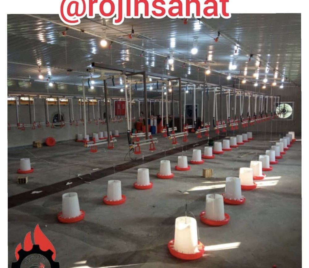 Screenshot_۲۰۲۵۱۱۲۵_۲۲۴۸۳۱_Instagram